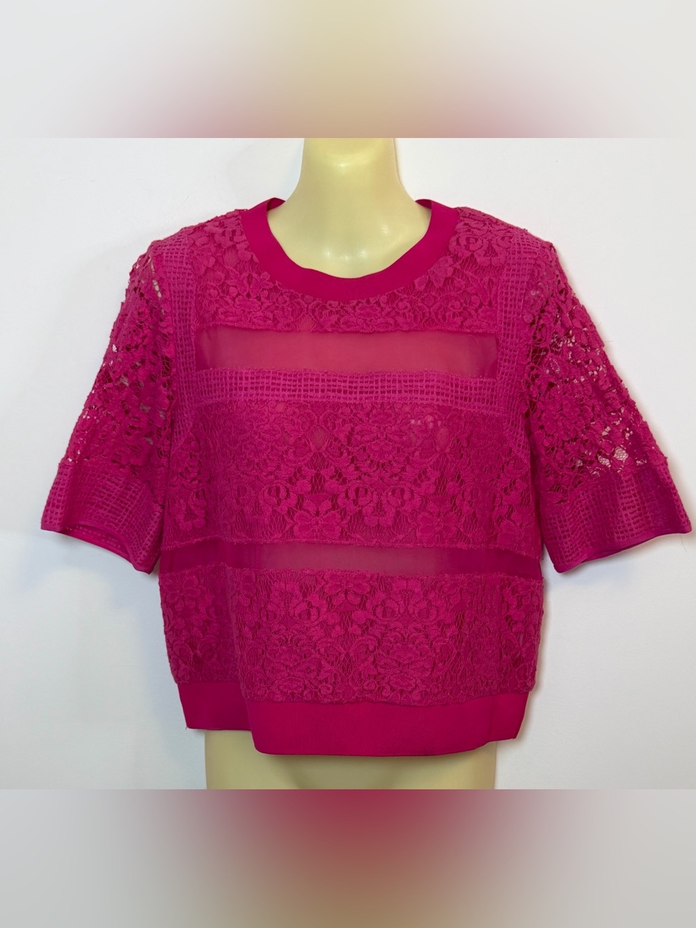 Rebecca Taylor Hot Pink Lace and Sheer Panel Cropped Blouse